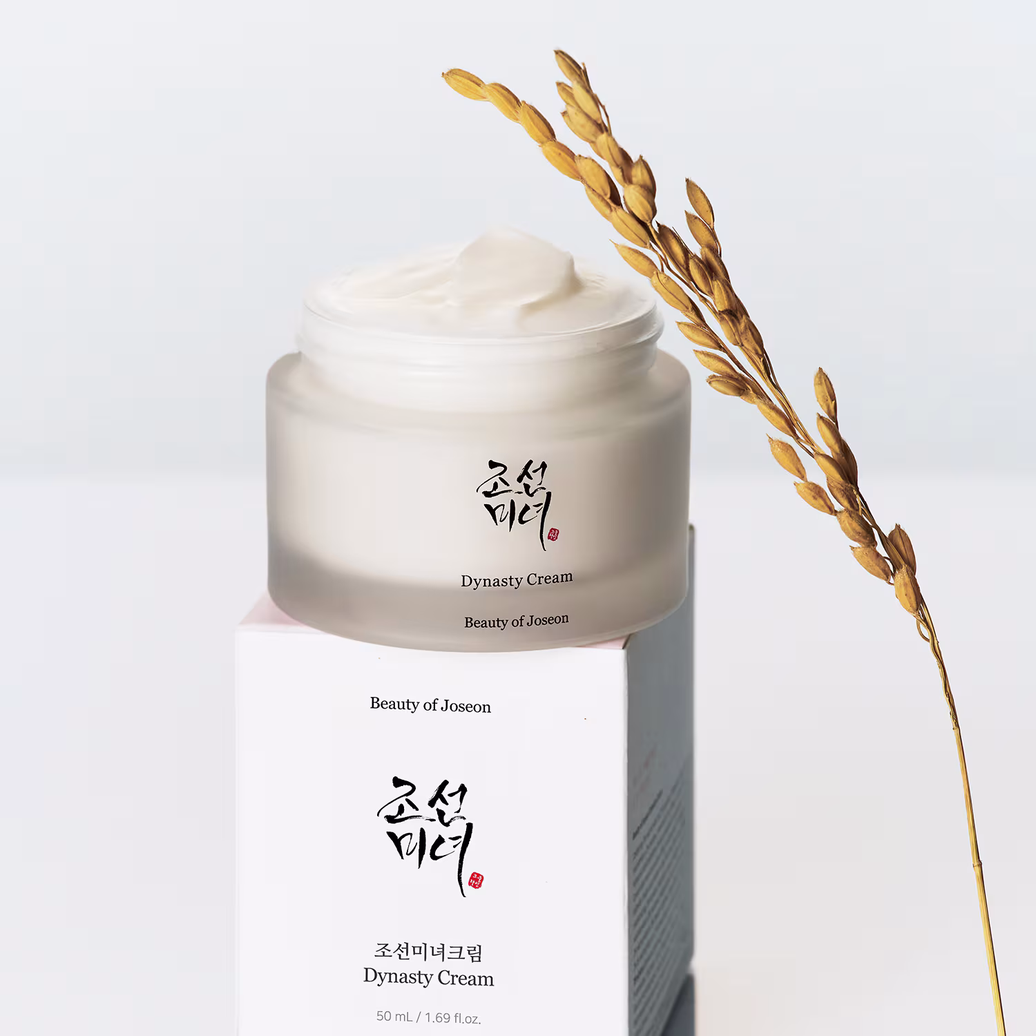 Beauty Of Jose On Dynasty Cream-White MS Department Store Oman